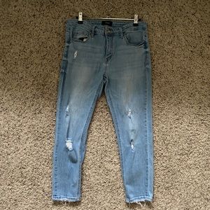 Vervet Light Washed Ankle SkinnyFit Denim Jeans